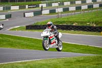 cadwell-no-limits-trackday;cadwell-park;cadwell-park-photographs;cadwell-trackday-photographs;enduro-digital-images;event-digital-images;eventdigitalimages;no-limits-trackdays;peter-wileman-photography;racing-digital-images;trackday-digital-images;trackday-photos